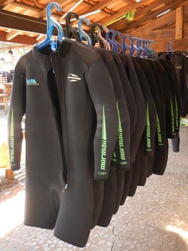 Expired Often spoken ink Veja dicas importantes sobre como guardar a roupa de mergulho